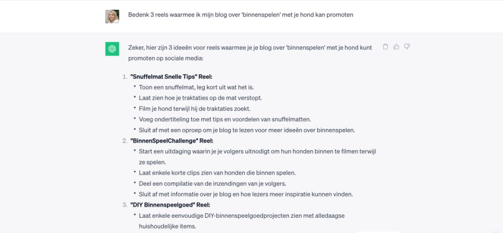 Voorbeeld ChatGPT die reels bedenkt
