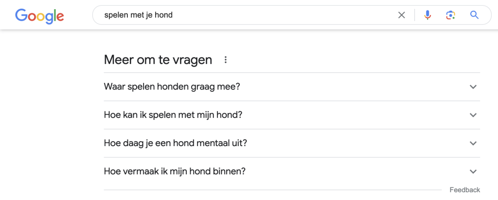 Voorbeeld vragen in Google